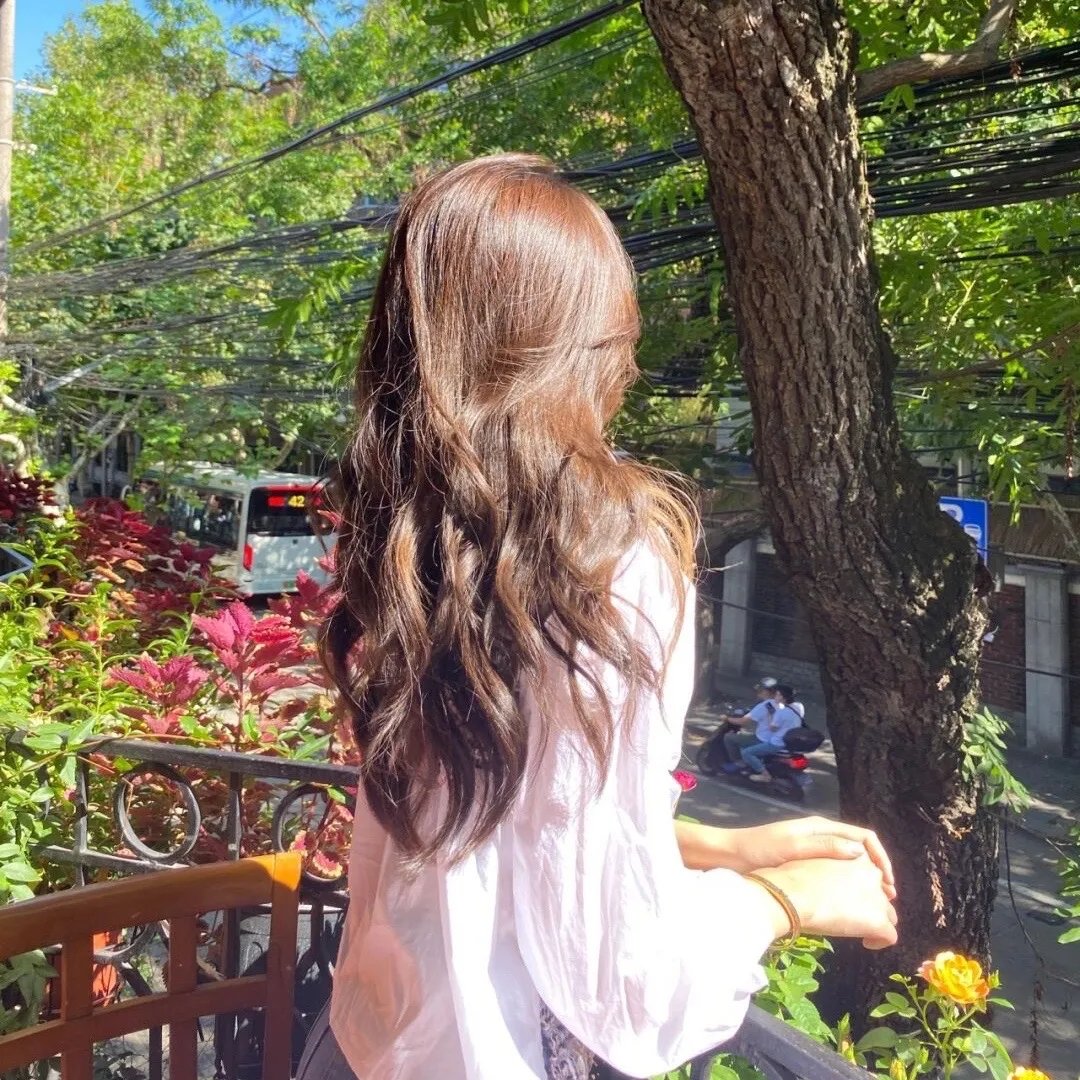 春蚕织梦